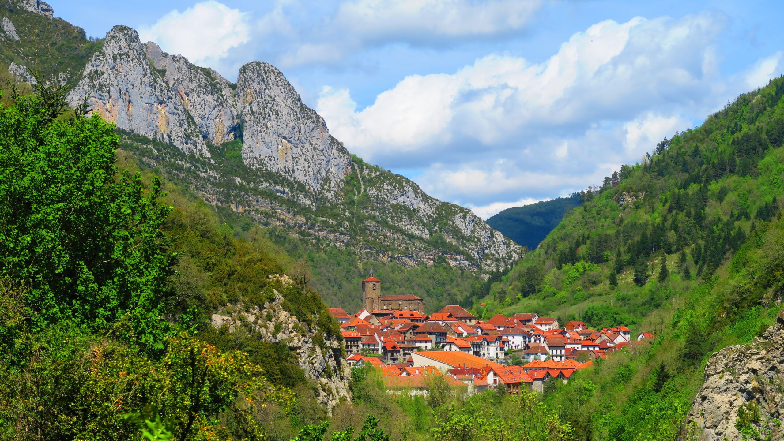 Pirineu Navarro
